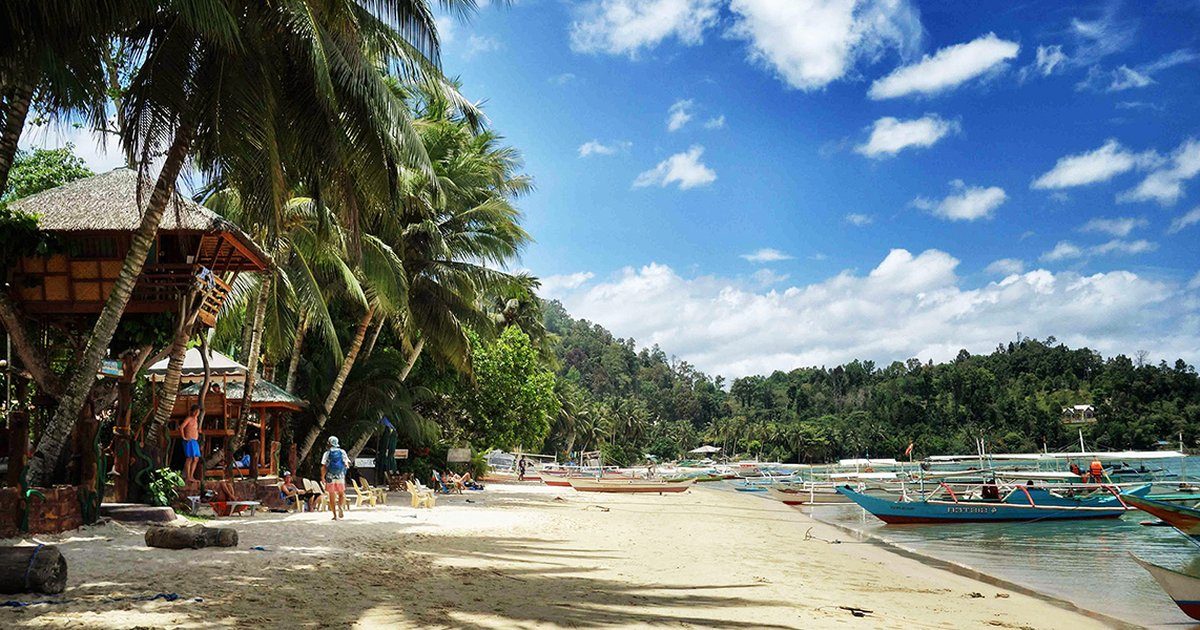 Plage de Port Barton bordée de cocotiers, bangkas échoués devant les maisons du village
