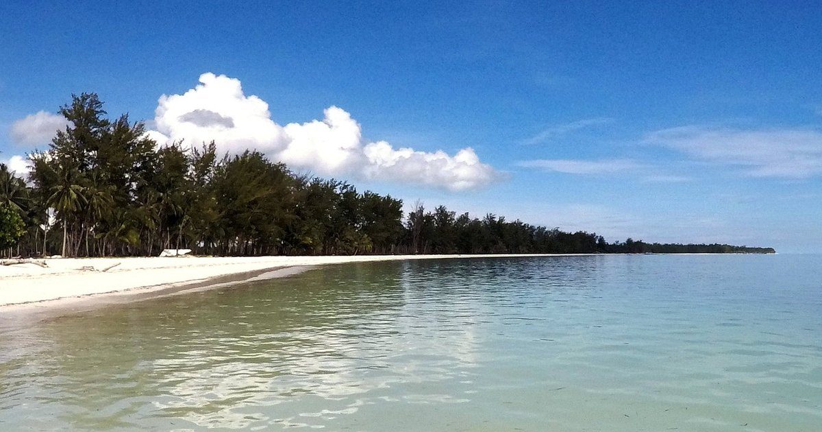 Longue plage déserte de Punta Sebaring dans l'archipel de Balabac, eau translucide et cocoteraie